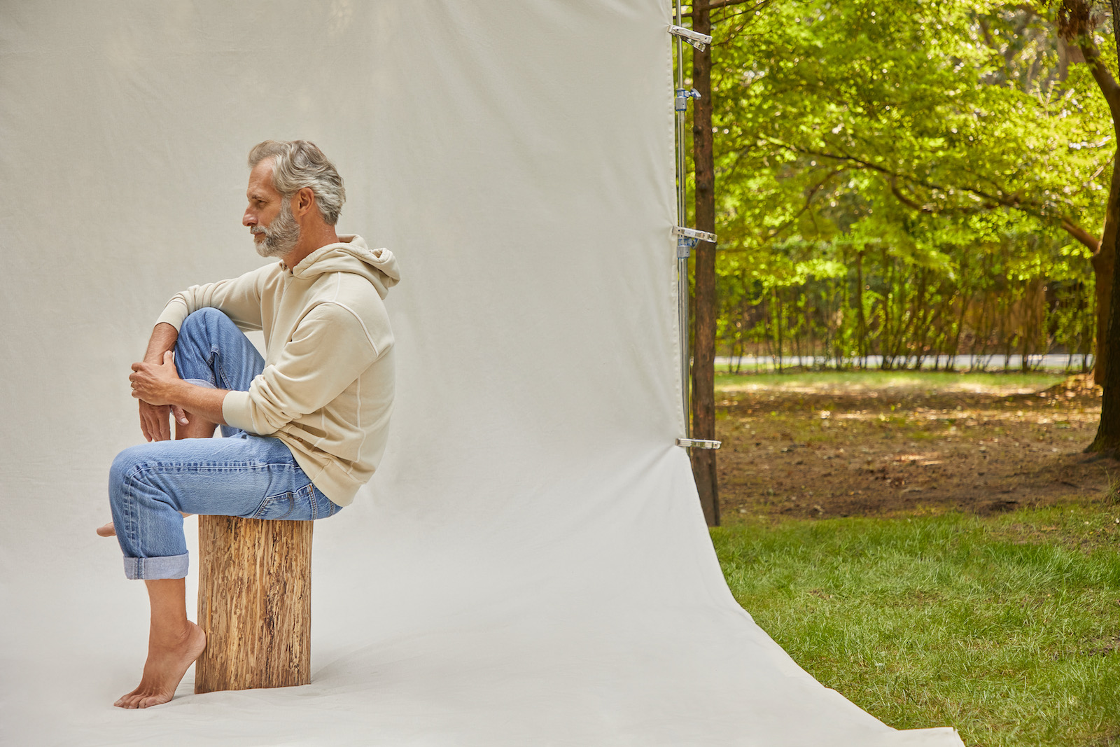 BIRDWELL width: height: